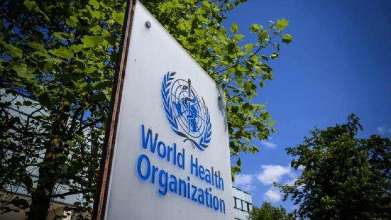الصحة العالمية تفجر كارثة بشأن الكوليرا