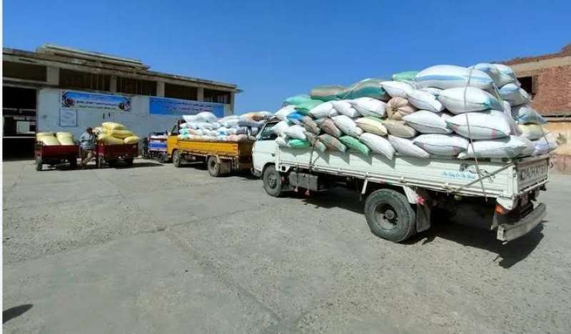 تموين الغربية: استقبلنا 47 ألف طن أرز شعير في المواقع المخصصة