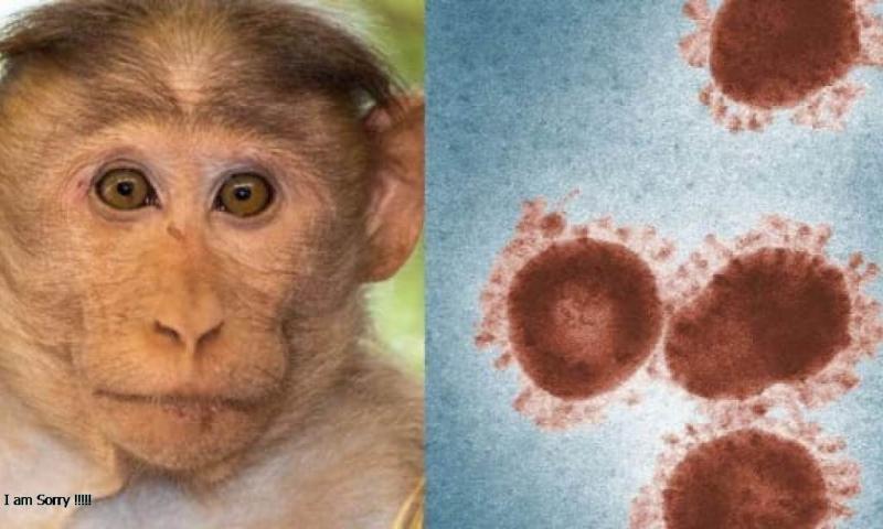 فيروس جدري القرود