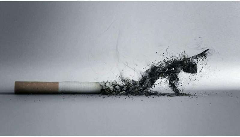 150  ألف دولار غرامة تدخين سيجارة واحدة في نيوزيلندا لهذا السبب