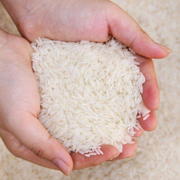 أسعار الأرز 
