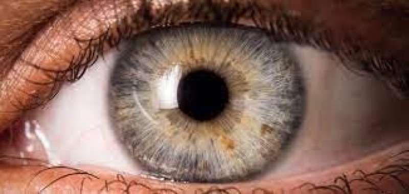 لون شبكية العين.. علامة تكشف سرطان المعدة