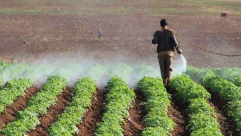 أستاذ زراعة: المبيدات المصرية آمنة وأرقام الصادرات خير دليل.. فيديو