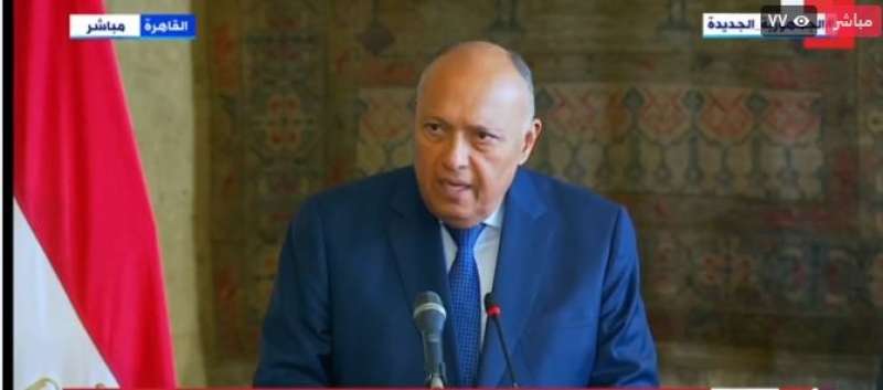 وزير الخارجية: عودة التابوت الأخضر لمصر نجاح جديد للخارجية المصرية