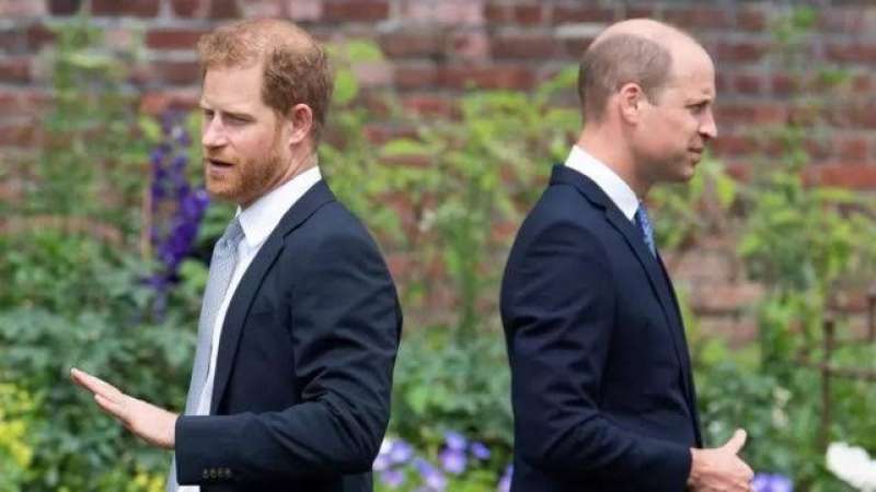 هل تفسد مذكرات الأمير هاري أي فرصة لمصالحة العائلة المالكة؟