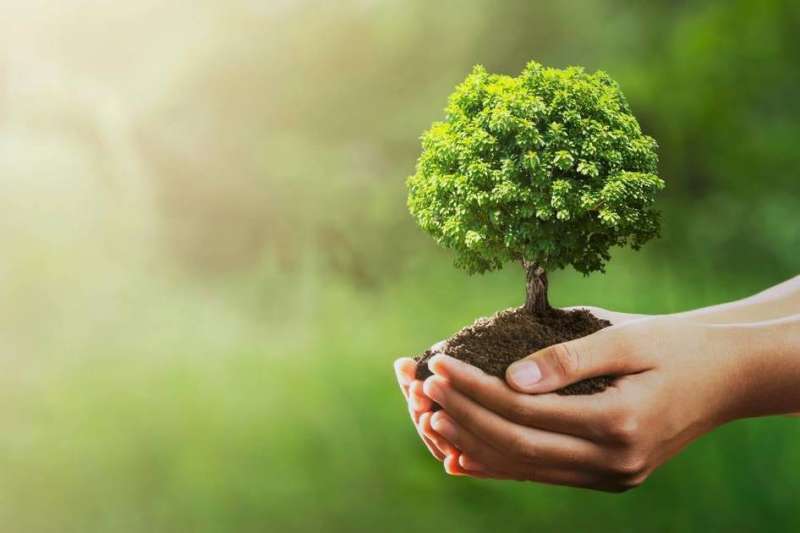 مبادرة 100 مليون شجرة 