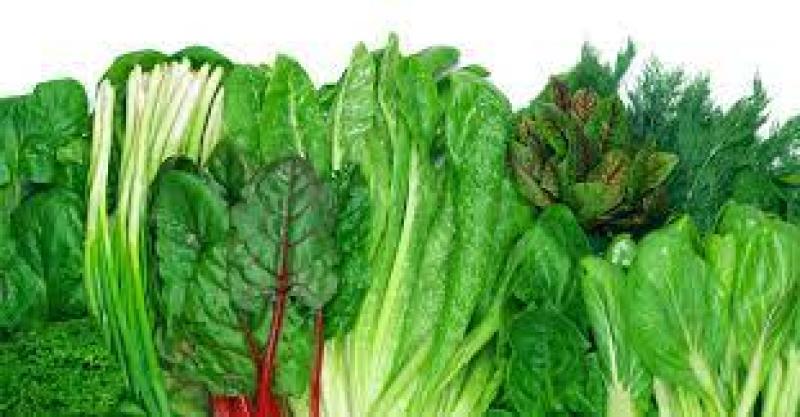 تمنع الإصابة بمرض السكري.. تعرف على فوائد تناول الخضراوات الورقية