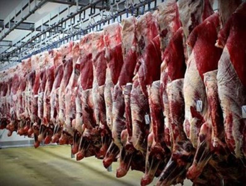 أسعار اللحوم اليوم- أرشيفية