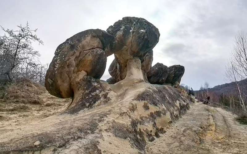 الصخور الحية_مصدر الصورة_ديلى ميل