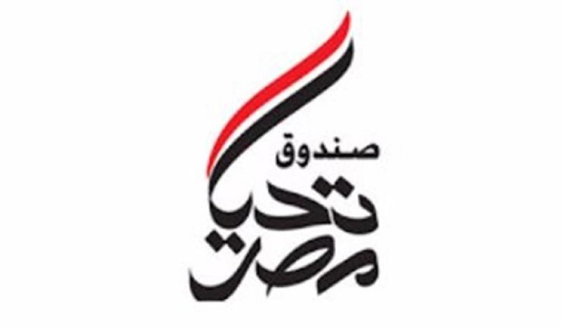 صندوق تحيا مصر: أكثر من 3 ملايين مواطن استفاد من برامج الدعم الخدمية