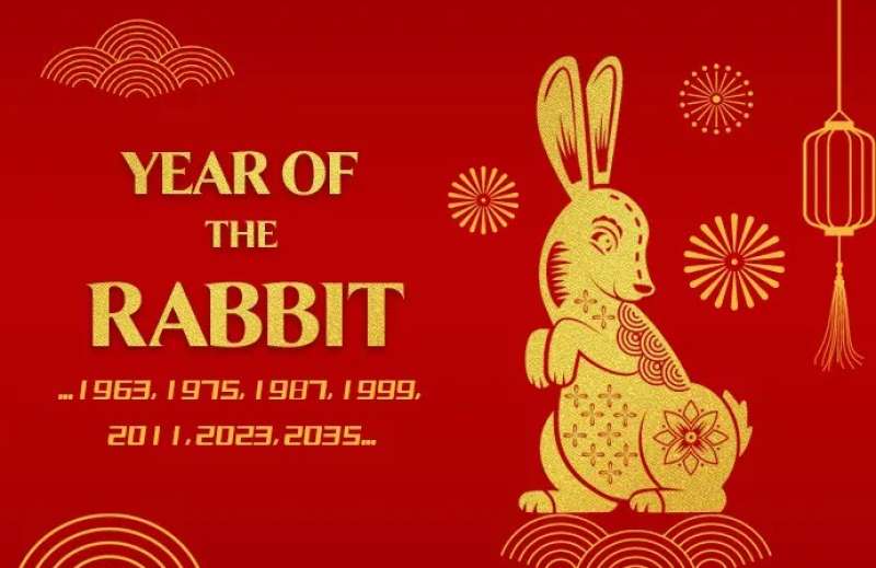 لم يأكله الوحش.. لماذا يحتفل الشعب الصيني بعام الأرنب؟