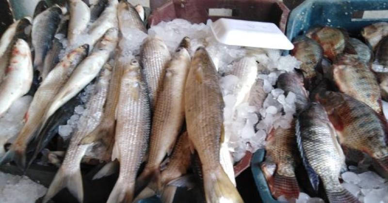 سوق السمك- ياندكس