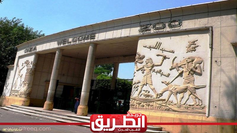 متى تفتح حديقة الحيوان