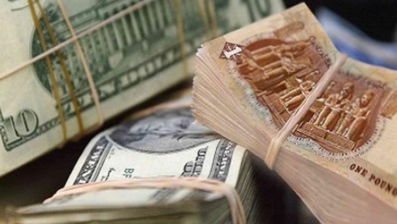 اتحاد المستثمرين: اعتماد الجنيه المصري في المركزي الروسي يُزيد الصادرات المصرية ويقلل الضغط على الدولار