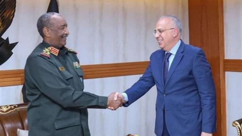مباحثات ناجحة.. وزير الري يصل القاهرة قادما من السودان