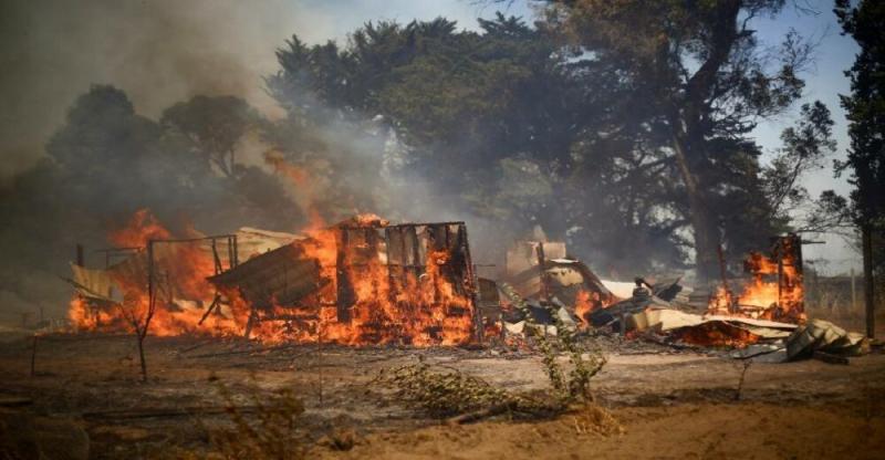 ارتفاع حصيلة قتلى حرائق الغابات في تشيلي إلى 13.. فيديو