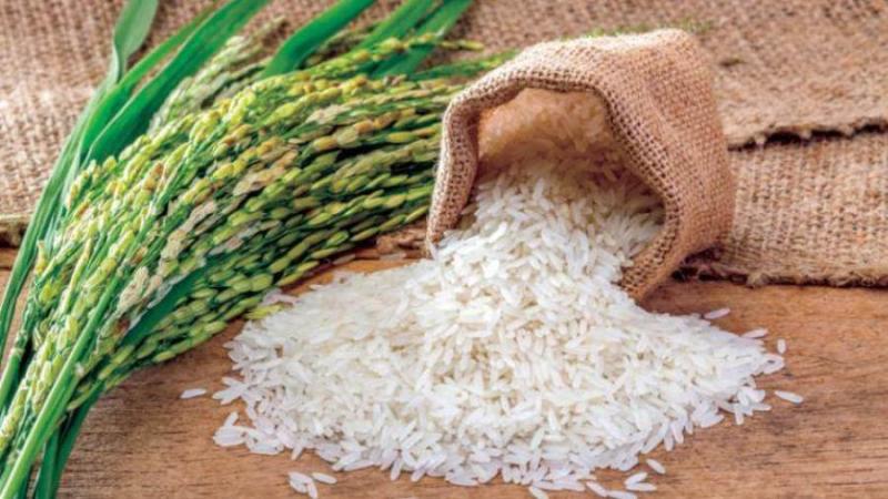 «السلع التموينية» تعلن عن ممارسة دولية لاستيراد الأرز
