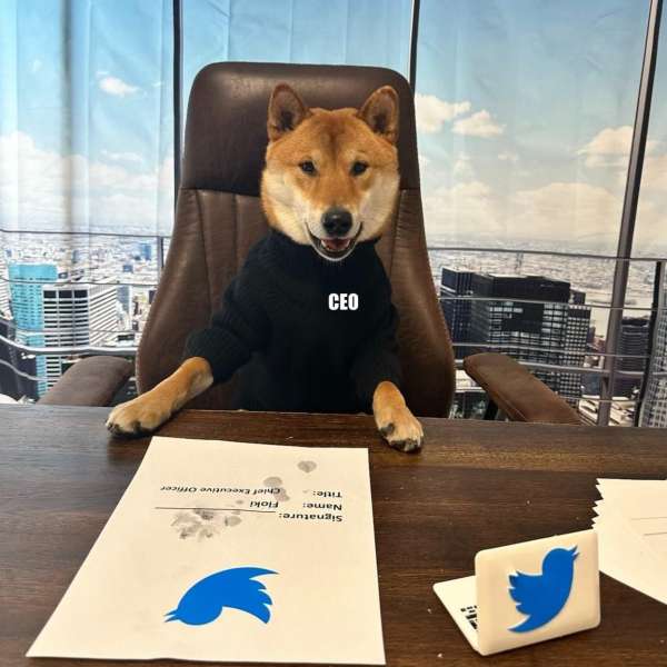 المدير التنفيذي لتويتر  الجديد 