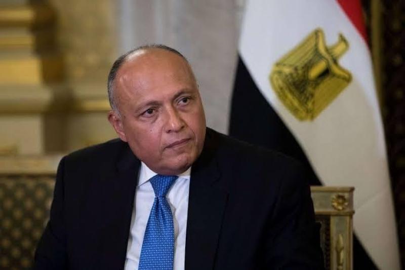 وزير الخارجية يؤكد دعم مصر لتحقيق التوافق بين القوى السودانية