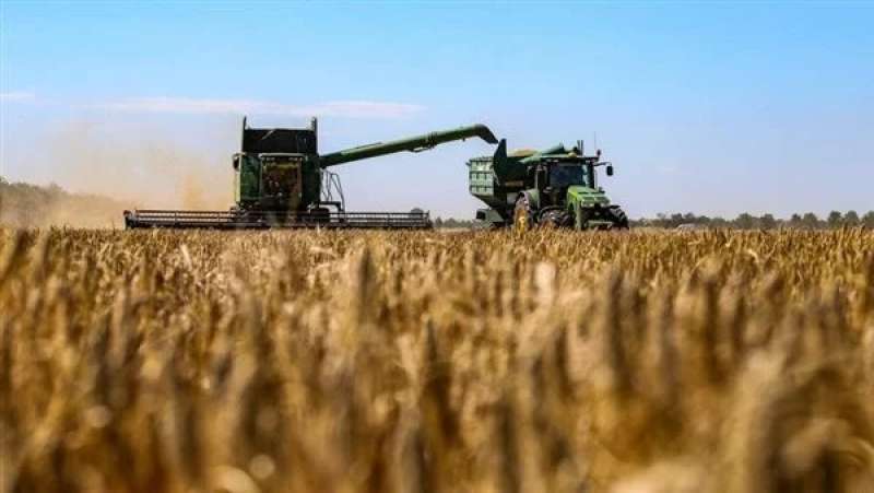 صادرات الحبوب الأوكرانية تنخفض 30%