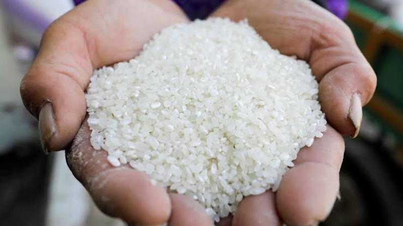 ارتفاع جديد في سعر طن الأرز اليوم الأربعاء 24-5-2023