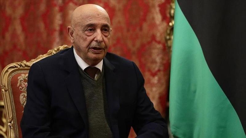 عقيلة صالح: نعمل على تشكيل حكومة موحدة في ليبيا