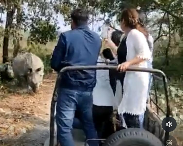 شاهد لحظات من الرعب.. اثنان من وحيدي القرن يهجمان على سيارة تقل مجموعة من السياح