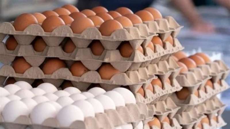أسعار البيض 