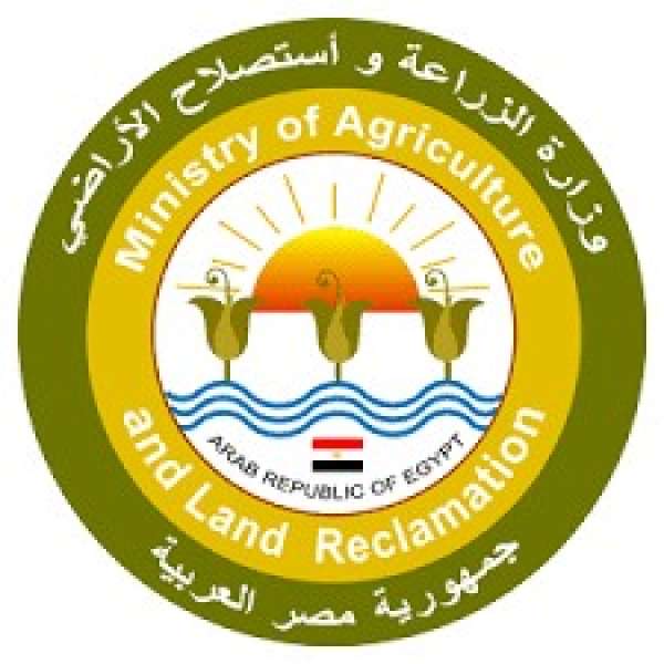 وزارة الزراعة تدعم مزارعي شمال سيناء ب 20 ألف شتلة لوز