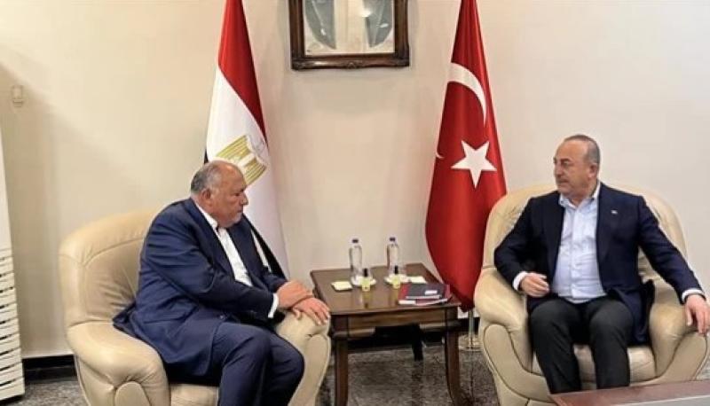 وزير الخارجية المصري ونظيره التركي