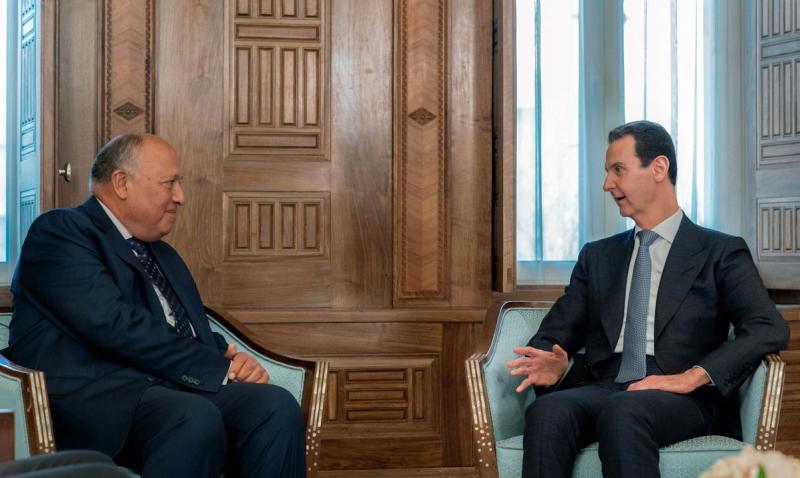 سامح شكري مع بشار الأسد ـ الخارجية السورية