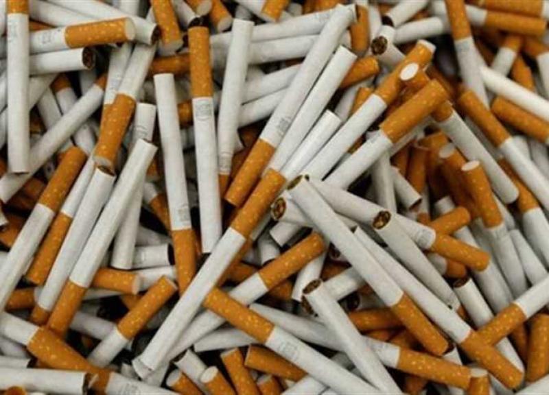 الجمارك: «402 مليون جنيه رسوم محصلة بجمارك الدخان خلال فبراير»