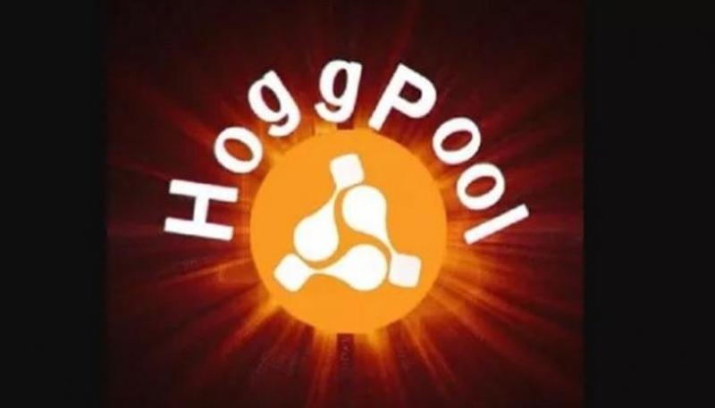 هوج بول (شعار الشركة عبر موقعها الإلكتروني)
