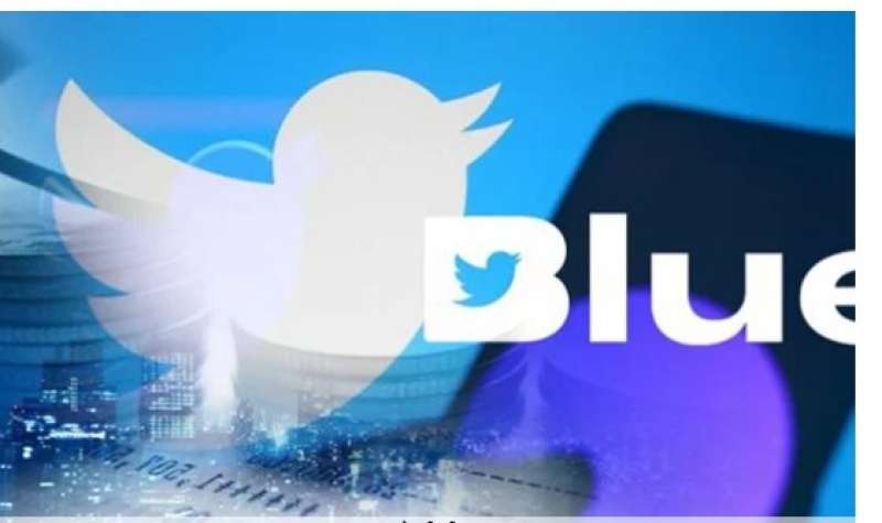 خدمة Twitter Blue -متداول سوشيال
