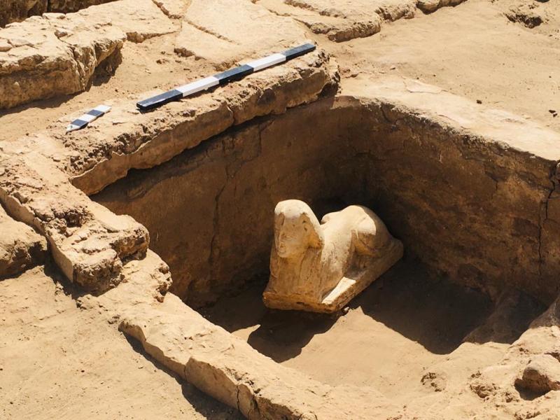 الآثار تعلن كشف تمثال لـ أبو الهول وبقايا مقصورة كلاوديوس بمحافظة قنا