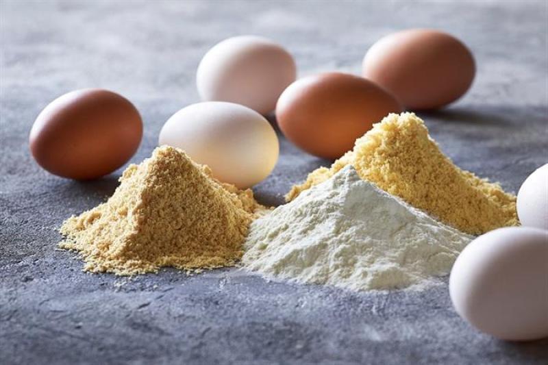 البيض البودرة- سوشيال ميديا