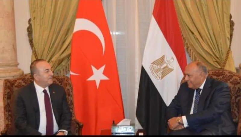وزير الخارجية المصري والتركي-فيسبوك