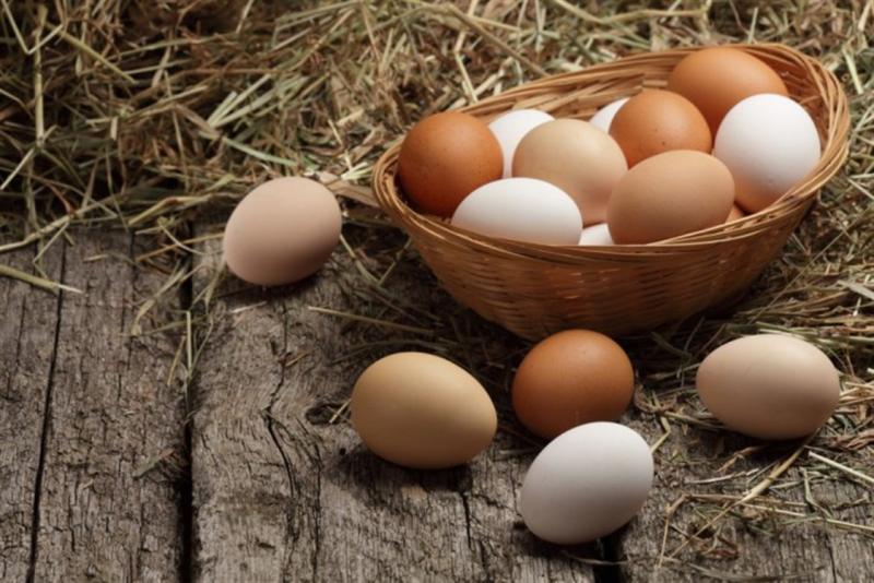 تاريخ صلاحية على كل بيضة.. مقترح برلماني لمواجهة ارتفاع الأسعار