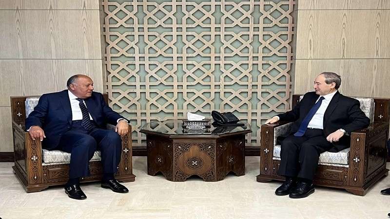 وزير الخارجية يلتقي نظيره السوري فيصل المقداد