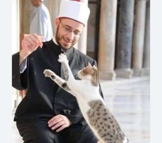 الشيخ أسامة الأزهري والقطط- سوشيال 