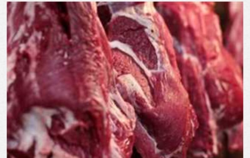 ارتفاع أسعار اللحوم 