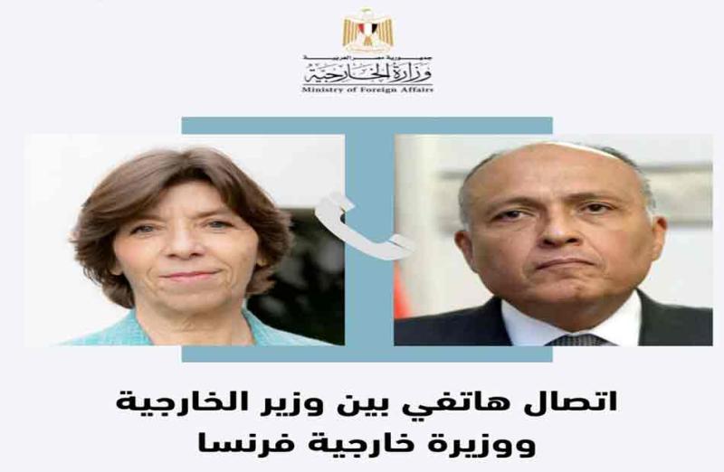 وزيرا خارجية مصر وفرنسا 