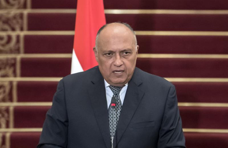 «شكري» يجرى اتصالات مع وزراء خارجية السودان والسعودية والجزائر والأردن وكينيا