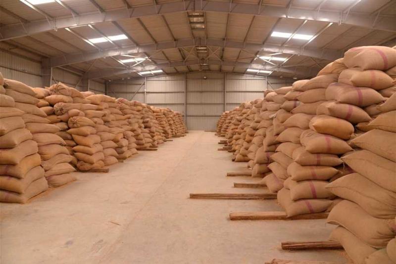 التموين: ارتفاع توريد القمح المحلي لـ 1.3 مليون طن حتى الآن