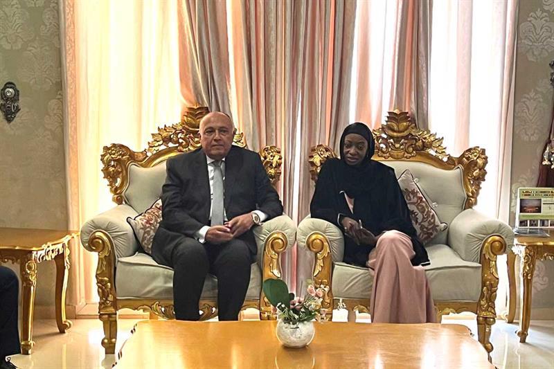 تشاد تستقبل وزير الخارجية المصري للتنسيق بشأن الأزمة السودانية