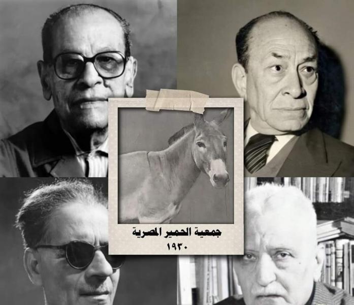 في اليوم العالمي للحمار.. حكاية تأسيس جمعية «الحمير »المصرية