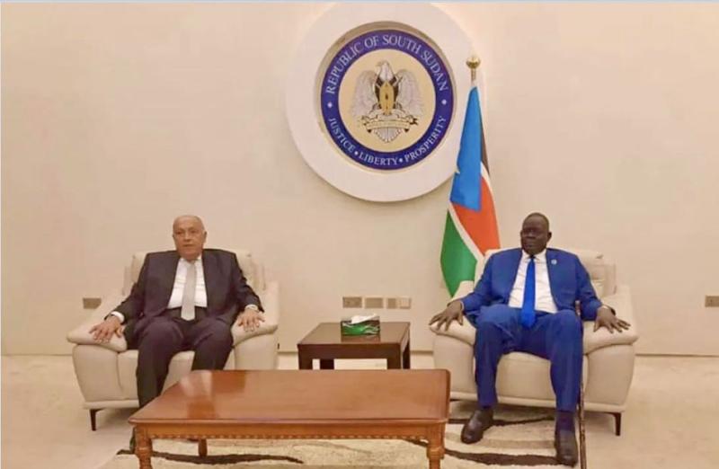 وزير الخارجية: مصر وجنوب السودان يتحملان مسئولية خاصة تجاه ‎السودان