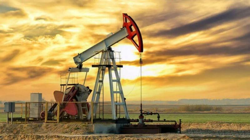 أسعار النفط الخام 
