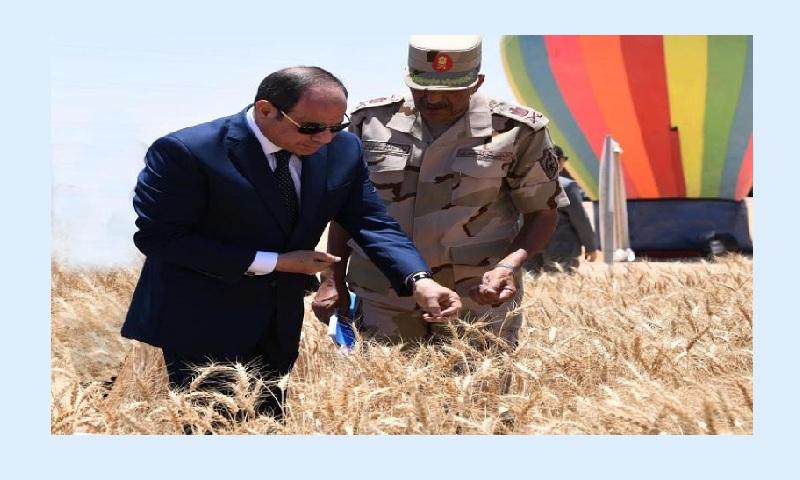 الرئيس السيسي يشهد افتتاح موسم حصاد القمح