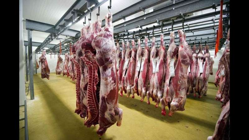 ‫الزراعة توفر اللحوم البلدي بـ230 جنيهًا للكيلو في منافذها